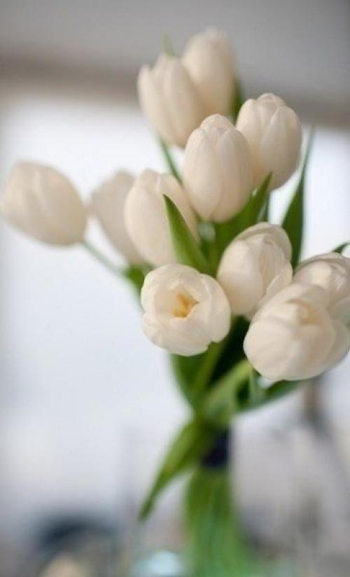 Ученым удалось разгадать одну из главных загадок луны. 05 Ученым удалось разгадать одну из главных загадок луны. 05