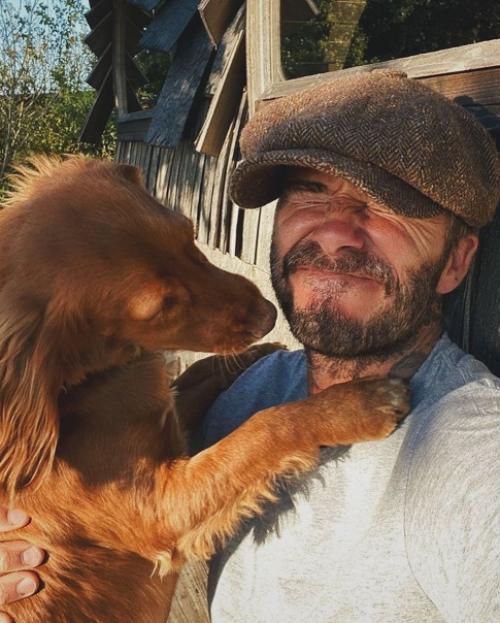 Звезды со своими домашними любимцами. 07