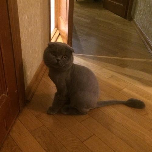 Его зовут грей. 04 Его зовут грей. 04