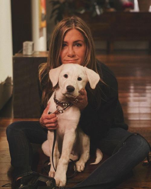 Звезды со своими домашними любимцами. 08