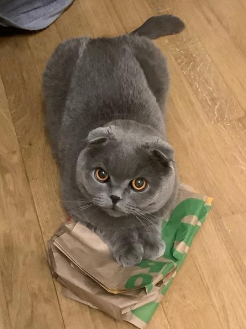 Его зовут грей. 05 Его зовут грей. 05