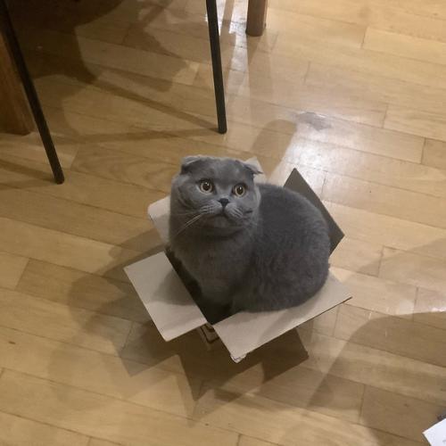 Его зовут грей. 07 Его зовут грей. 07