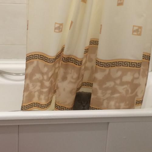 Его зовут грей. 06 Его зовут грей. 06