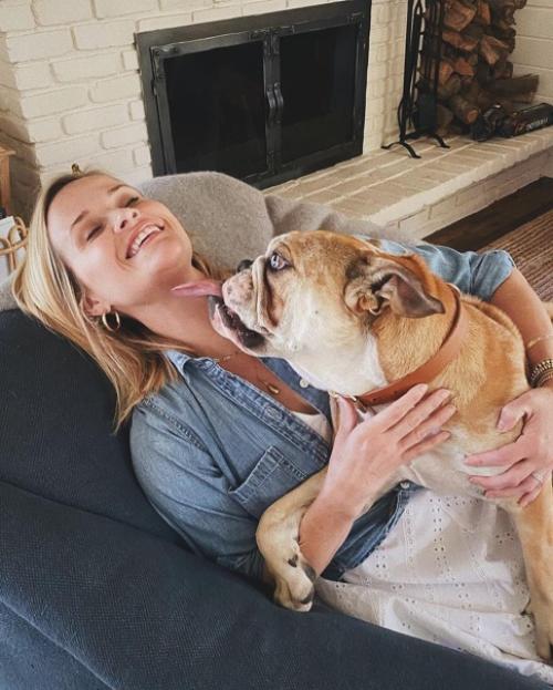 Звезды со своими домашними любимцами. 01