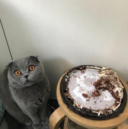 Его зовут грей. 02 Его зовут грей. 02