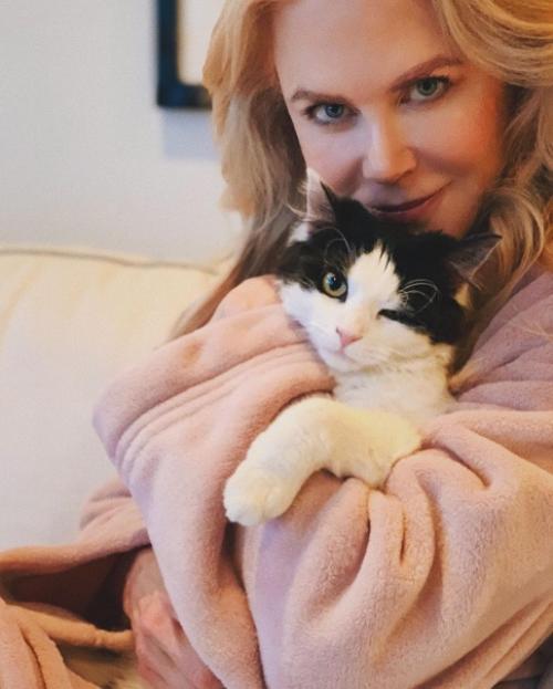 Звезды со своими домашними любимцами. 02