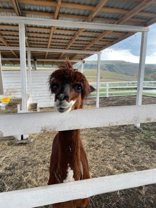 В честь дня рождения решила выложить красивые фото себя с отпуска (на последнем не я, но у него прическа красивая, пусть будет. 09