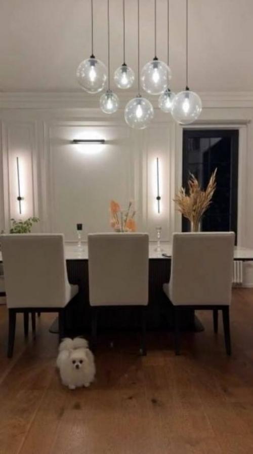 Новый дом Агаты муцениеце - теперь по - семейному. 01