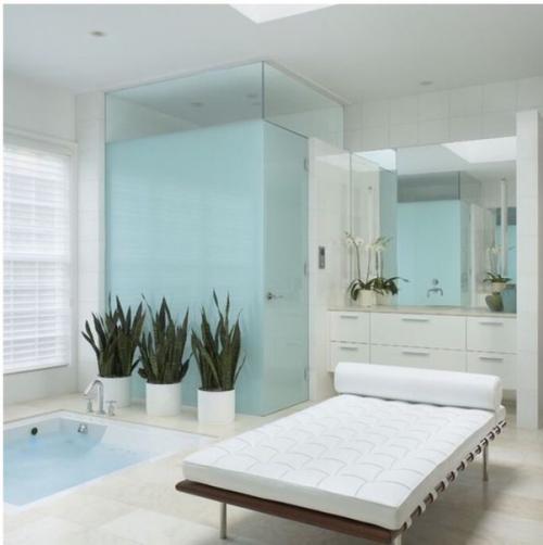 Обитатели Домашних Тропиков: растения для ванной комнаты. 05 Обитатели Домашних Тропиков: растения для ванной комнаты. 05