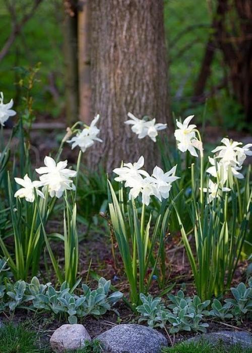 Закончились метели.  В лесу валежник просох. 03