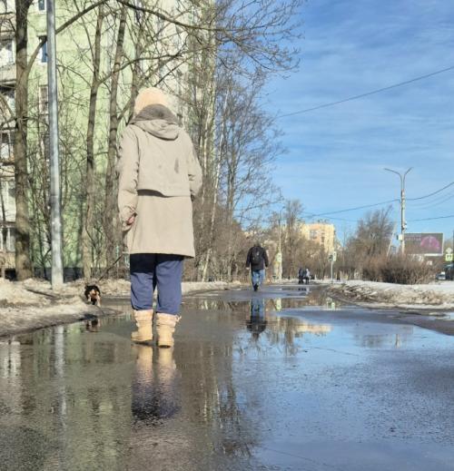 Неделя 10/52 2026.  1. рисовала меньше. 02