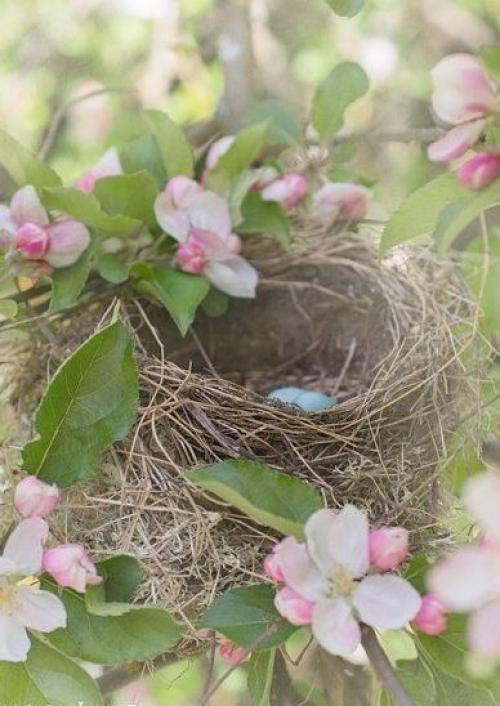 Закончились метели.  В лесу валежник просох. 02