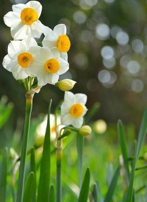 Закончились метели.  В лесу валежник просох. 05