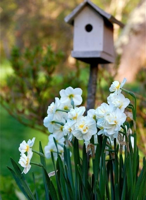 Закончились метели.  В лесу валежник просох. 04