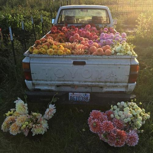 Распорядок школьного дня? 01