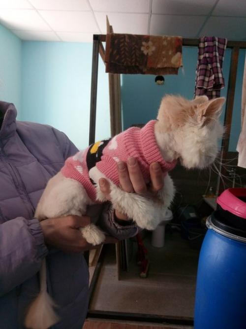 Позитивчик на НОЧЬ.  Стеша - мы дома и счастливы. 01 Позитивчик на НОЧЬ.  Стеша - мы дома и счастливы. 01