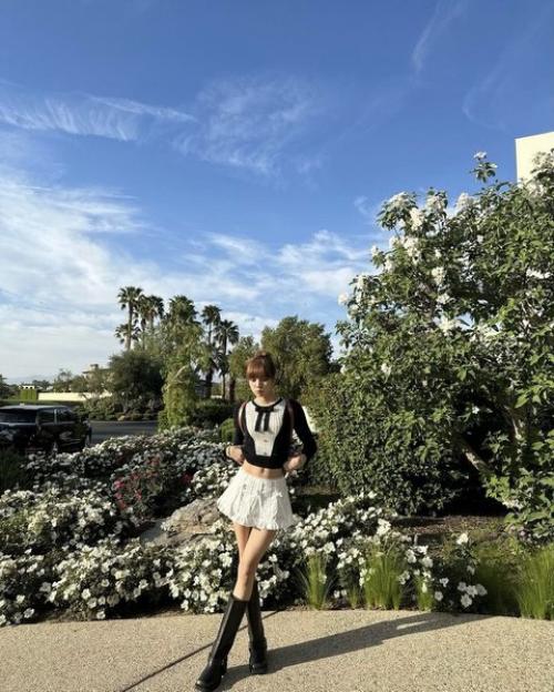 240423: лиса с Билли айлиш. 04