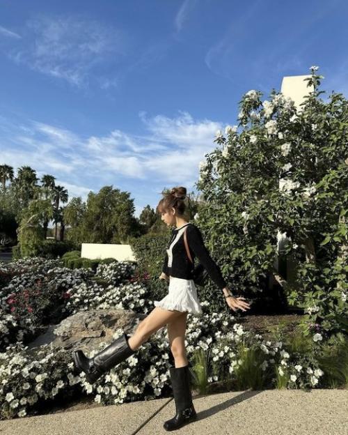 240423: лиса с Билли айлиш. 03