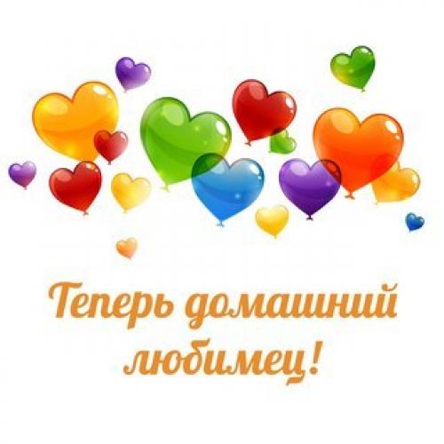 Позитивчик на НОЧЬ.  Стеша - мы дома и счастливы. 02 Позитивчик на НОЧЬ.  Стеша - мы дома и счастливы. 02