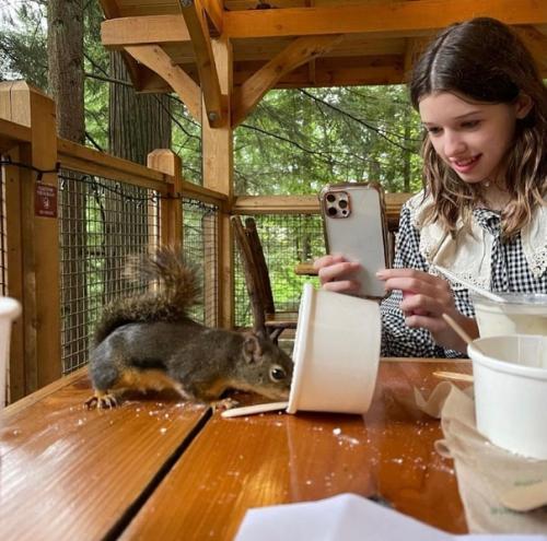 Мила Йовович поделилась новыми семейными фото. 03