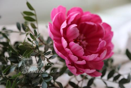 Уже завтра этот волшебный древовидный пион будет вплетаться в веночек для маленькой принцессы. 03