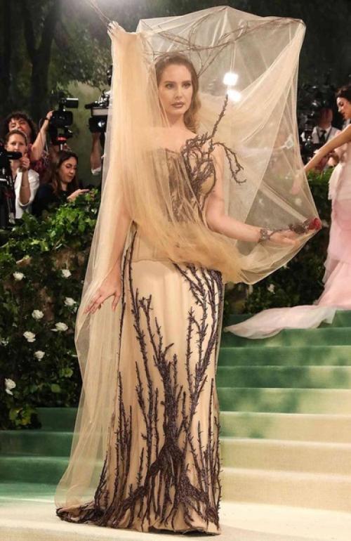 Мы рассматриваем теперь более детально некоторые образы Met Gala. 05