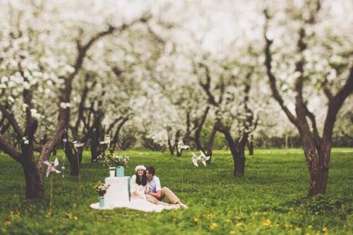 Фотосессия бесплатно!   Мы ищем пару на фотосессию в парке коломенское в цветущих садах. 01