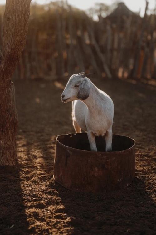 Реликтовое племя - химба. 08 Реликтовое племя - химба. 08