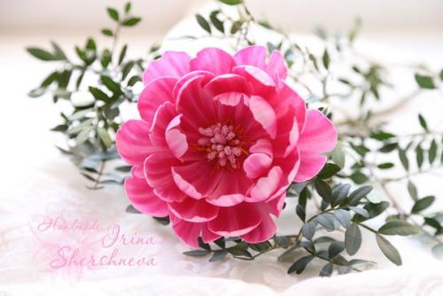 Уже завтра этот волшебный древовидный пион будет вплетаться в веночек для маленькой принцессы. 04