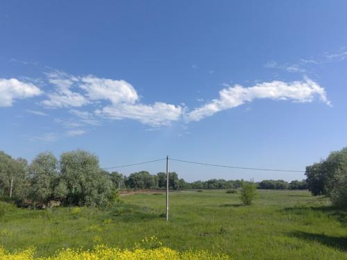 12/52: Последняя весенняя неделя в этом году. 01