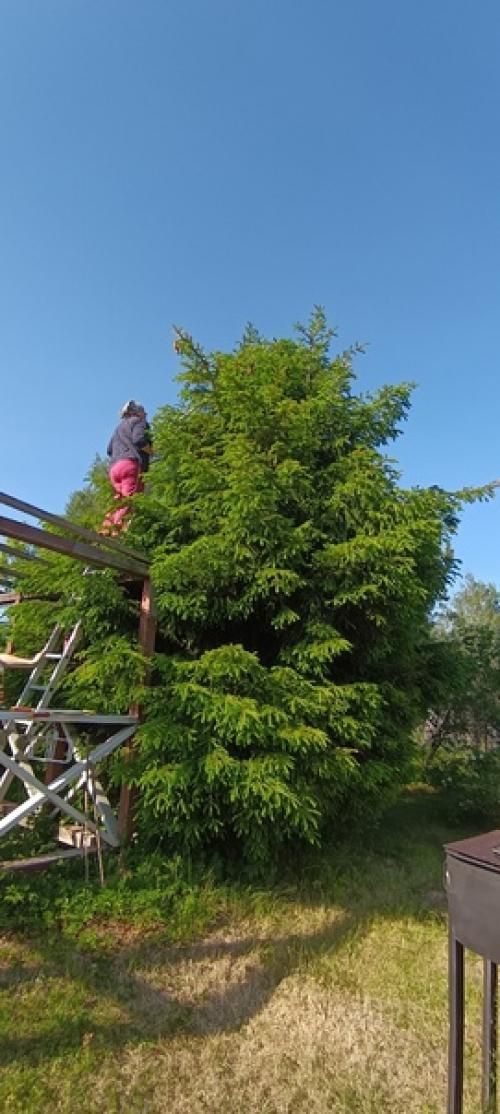 Зелёное озеро зелёное изумительно. 07