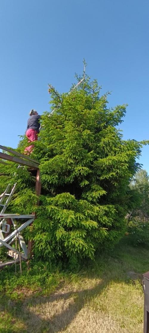 Зелёное озеро зелёное изумительно. 06