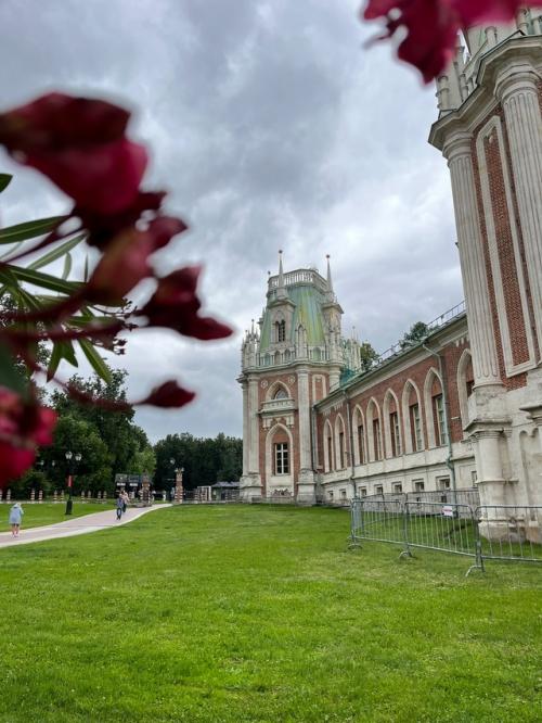 Царицынские утки мой день сделали! 08