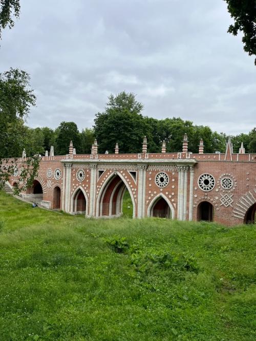 Царицынские утки мой день сделали! 02