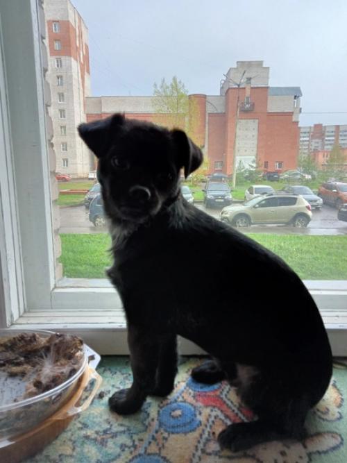 Фотопривет из дома. 01