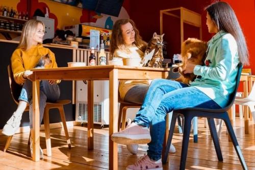 Моделей для фотосессии! 02