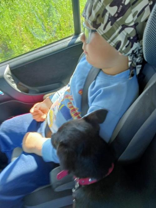 Фотопривет из дома. 03