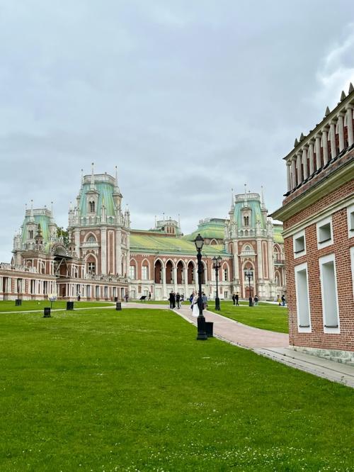 Царицынские утки мой день сделали! 01