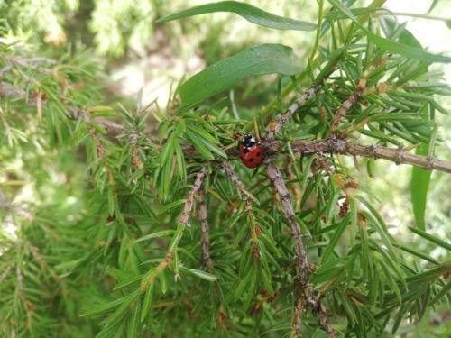 23/52. Как бы я не старалась держаться подальше от нейросетей, но они меня настигли. 09 23/52. Как бы я не старалась держаться подальше от нейросетей, но они меня настигли. 09