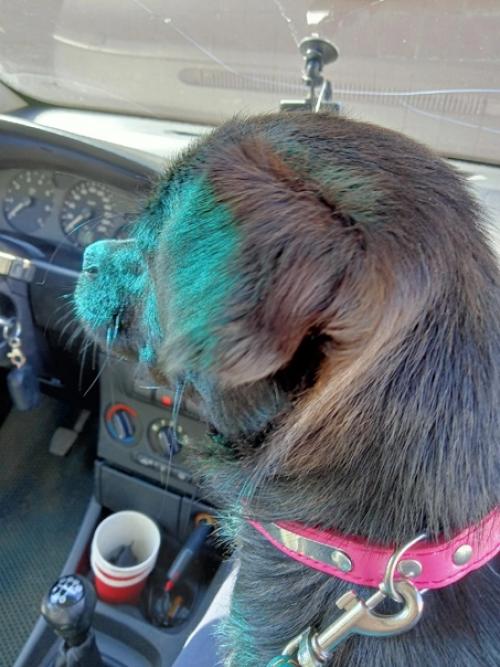 Фотопривет из дома. 02