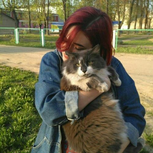 Можно подобных плиз. 05