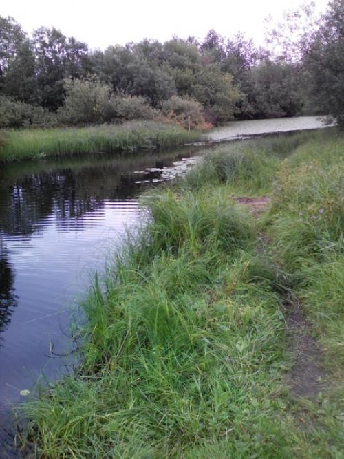 Макушка лета.   У лета макушка, как леса опушка -. 02