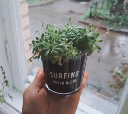 Я единорогу с розовым фламинго изменяю. 01 Я единорогу с розовым фламинго изменяю. 01