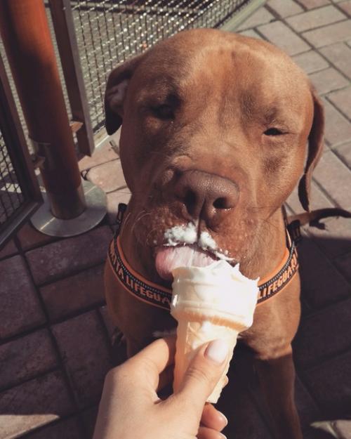 Я единорогу с розовым фламинго изменяю. 02 Я единорогу с розовым фламинго изменяю. 02