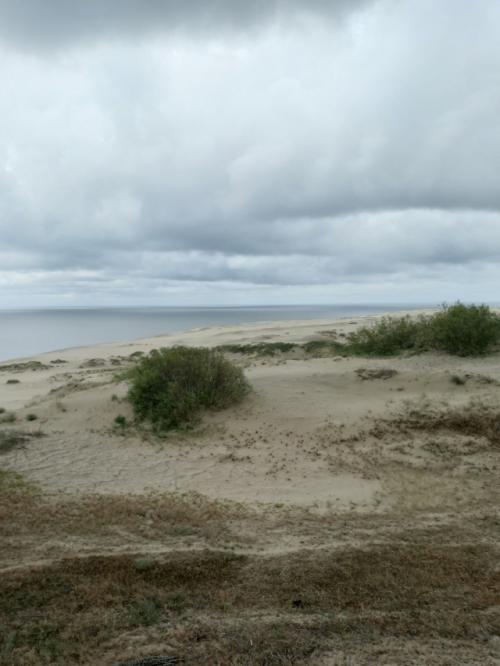 День начинался довольно уныло и скучно. 03