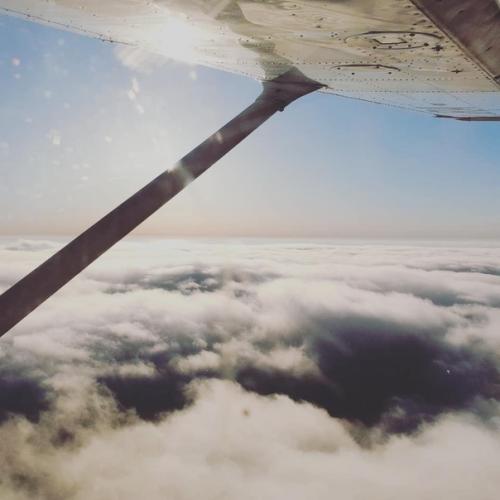 Я единорогу с розовым фламинго изменяю. 03 Я единорогу с розовым фламинго изменяю. 03