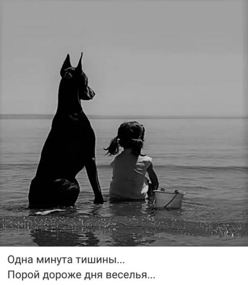 Итак, чтобы найти подходящее лекарство для искалеченных. 01 Итак, чтобы найти подходящее лекарство для искалеченных. 01