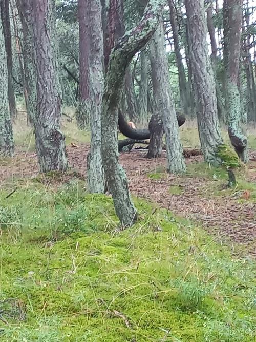 День начинался довольно уныло и скучно. 01