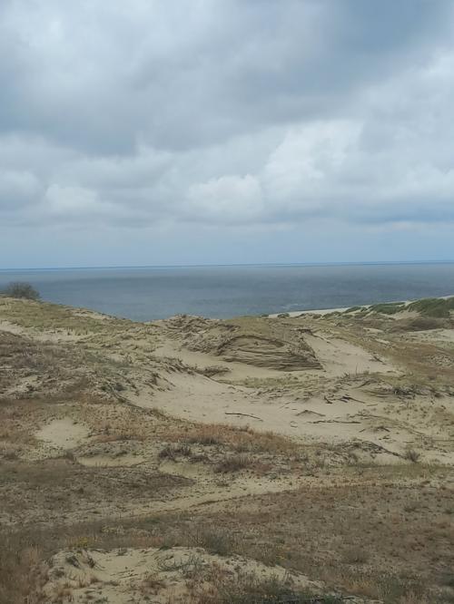 День начинался довольно уныло и скучно. 02