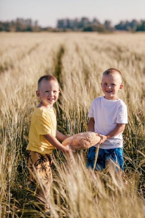 Семейная, детская или индивидуальная фотосессия? 01 Семейная, детская или индивидуальная фотосессия? 01